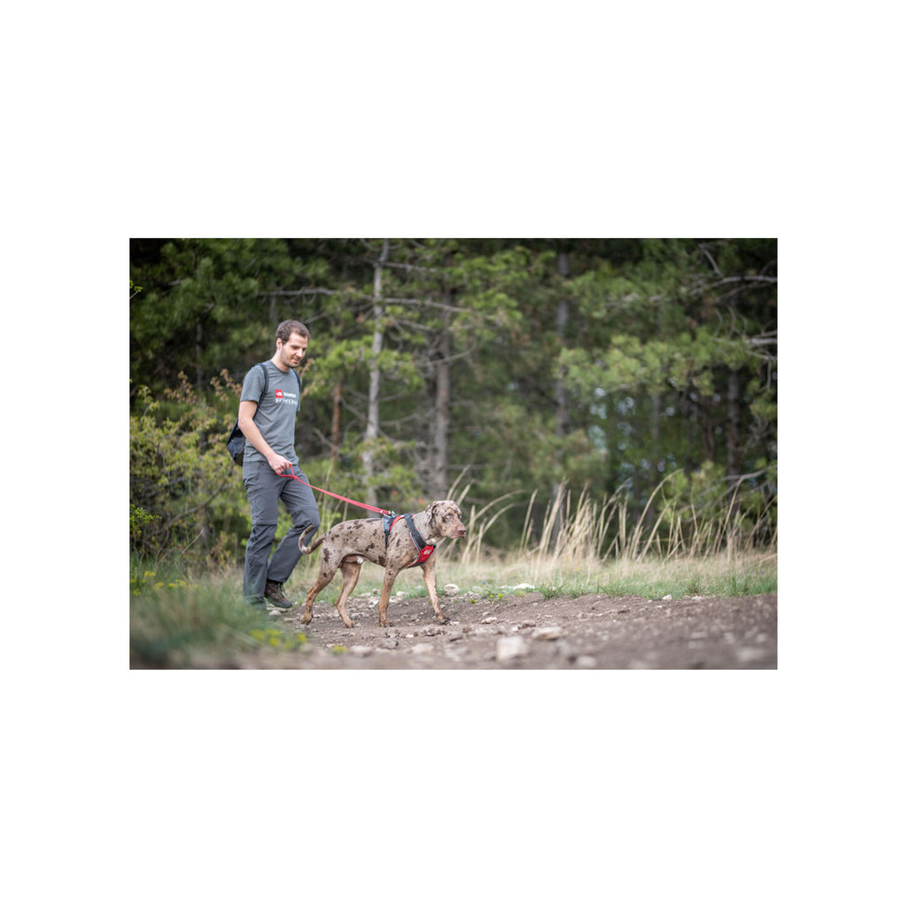 IDC Longwalk Rood - maat XL - maat XL | Julius-K9 Benelux IDC Longwalk Rood - maat XL - maat XL | Julius-K9 Benelux